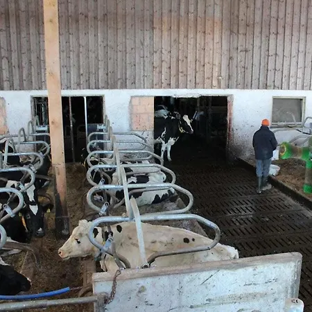 On The Willmann Farm