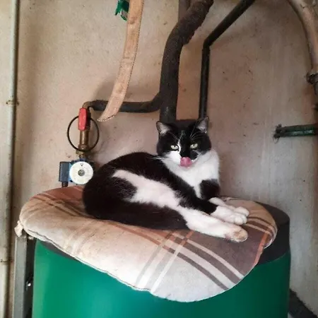 On The Willmann Farm Dom wakacyjny Erlenbach (Baden-Wurttemberg)