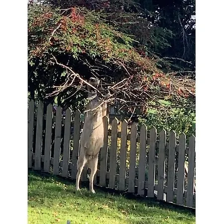 Dom wakacyjny On The Willmann Farm *
