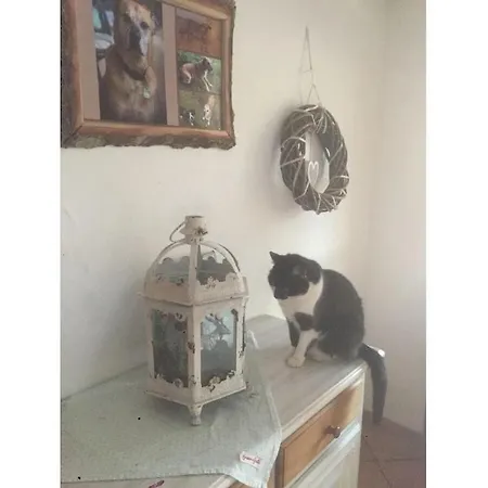 Dom wakacyjny On The Willmann Farm *