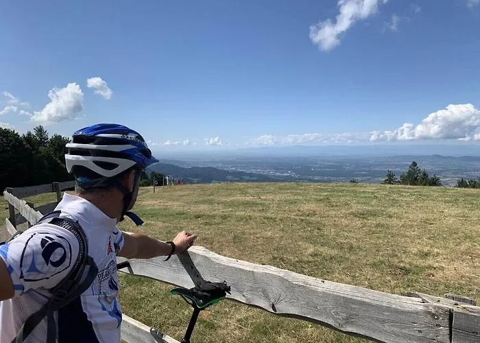 On The Willmann Farm Erlenbach (Baden-Wurttemberg)