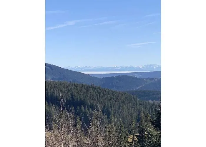 Vakantiehuis On The Willmann Farm *